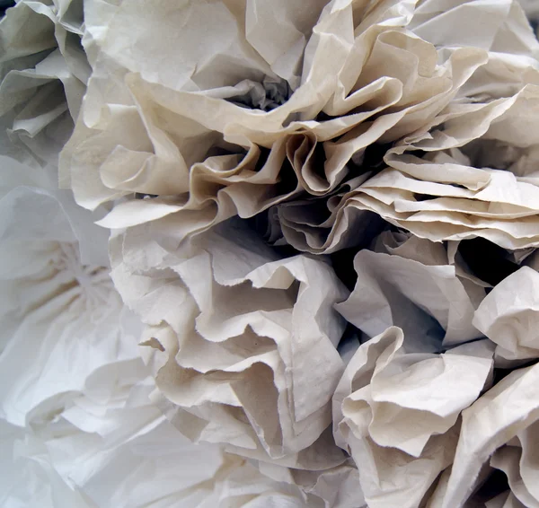 Paper Felft — стоковое фото