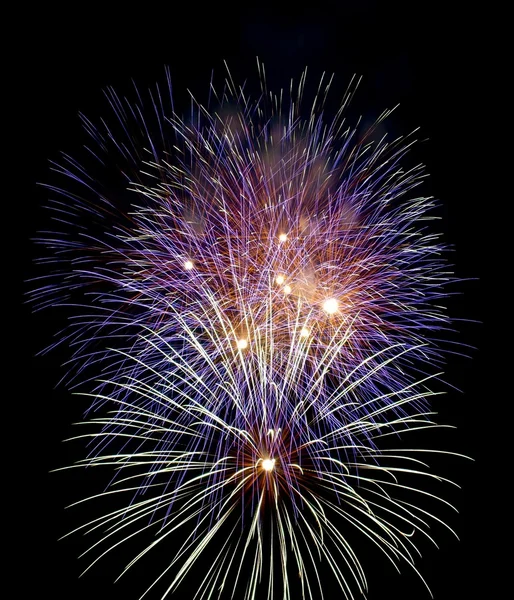 stock image Fireworks