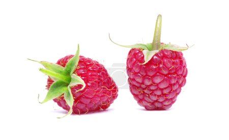 Framboise 