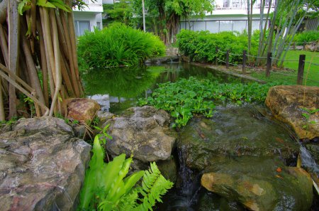 Jardin
