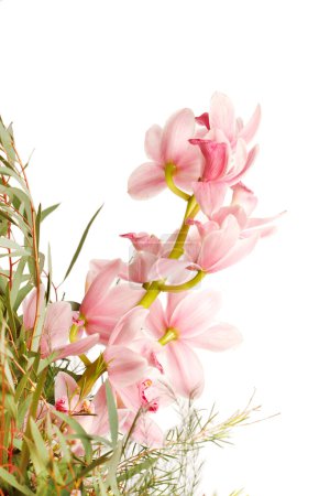 bouquet d'orchidées 