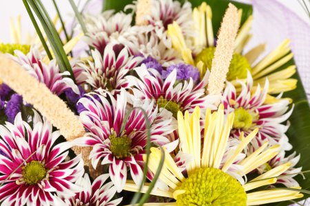 Jolies fleurs 