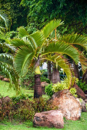 Jardin de fleurs de style thaï 