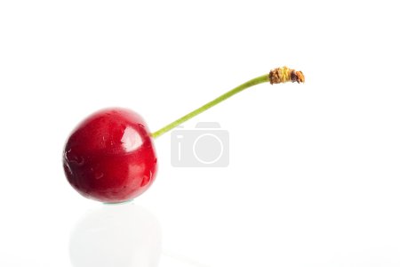 Cerise rouge sur blanc 