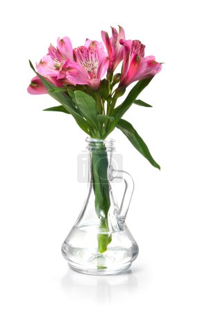 Alstroemeria rose 