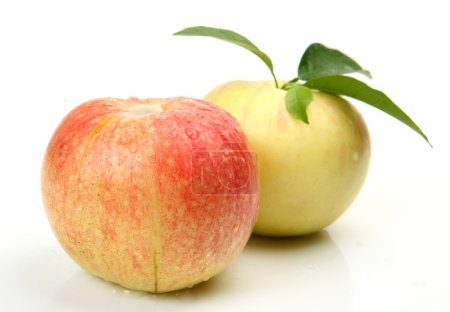 Fruits mûrs 