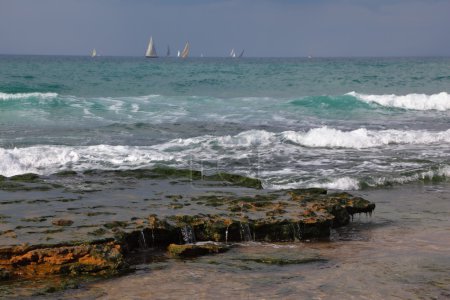 Une voile blanche de yachts à l'horizon 