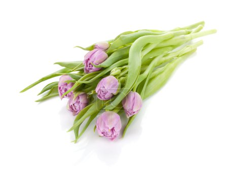 Bouquet de tulipes roses 