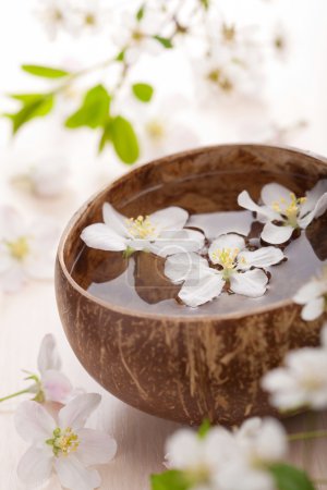 Fleurs blanches dans un bol pour spa 