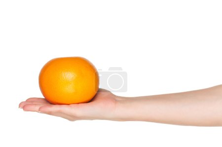 Main au pamplemousse 