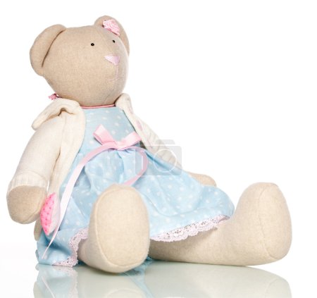 Ours en peluche 