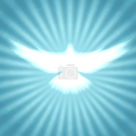 Colombe brillante avec des rayons sur une sombre 