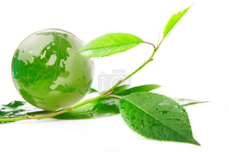 Le concept globe eco 