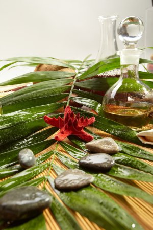Spa nature morte 