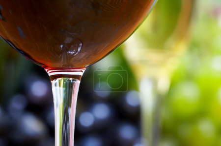 Composition du vin 