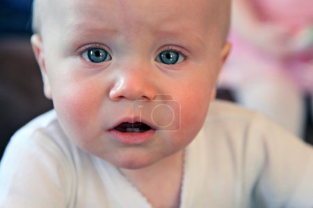 mignon petit garçon posant pour caméra 