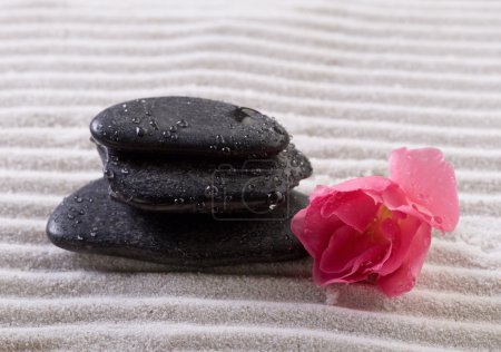 Concept de spa 