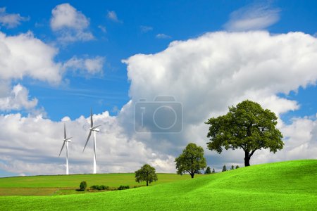 Paysage printanier 