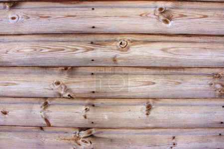 Texture des planches en bois 