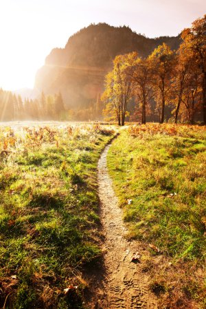 automne à Yosemite 