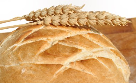 Croûte dorée et blé 