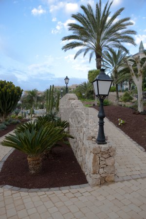 Chemin parmi les palmiers 