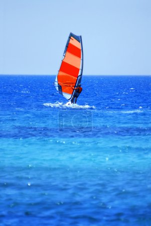 windsurfista