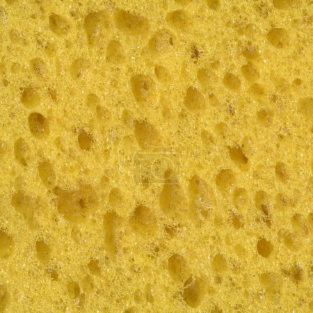texture caoutchouc mousse 