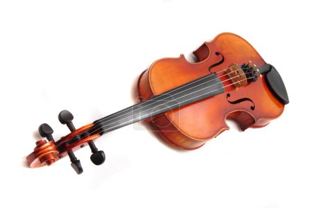 Vieux violons isolés sur fond blanc 