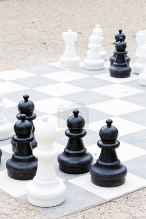 Chess, Bingen am Rhein, Rhénanie-Palatinat, Allemagne 