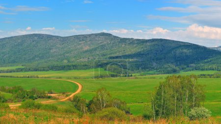 Paysage printanier 