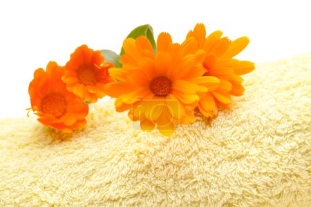Calendula Fleurs sur serviette jaune 