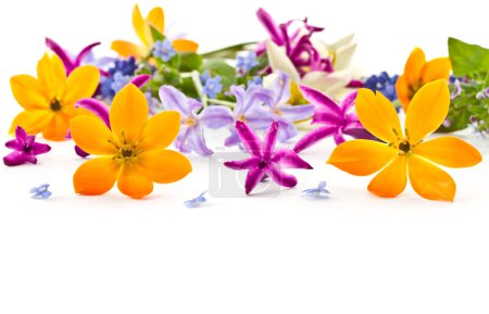 Bouquet de printemps 