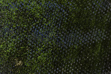 Texture abstraite fond 