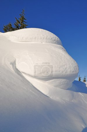 Feuilles de neige 