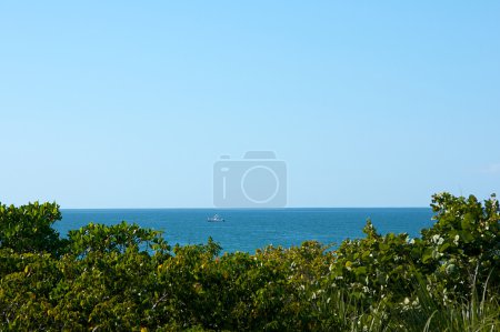 Surplombant les arbres au golfe du Mexique avec bateau 