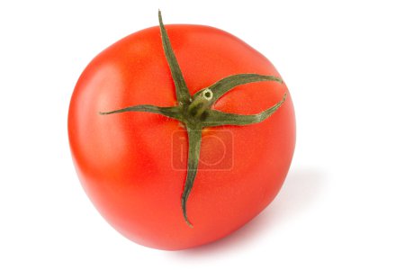 Tomate rouge 