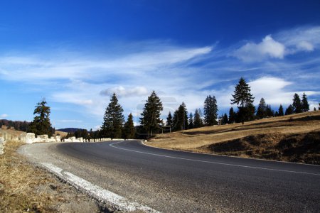 Route vers Piatra Craiului 