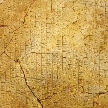 Le plus vieux livre de la planète 