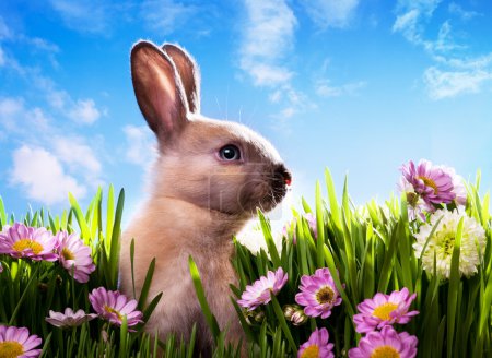 Art bébé lapin de Pâques sur herbe verte de printemps 