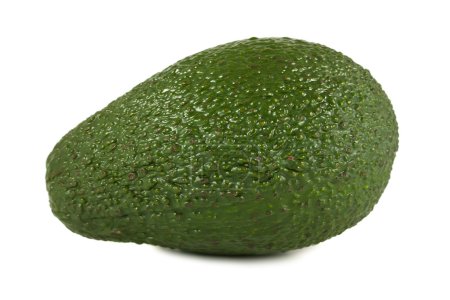 Avocat