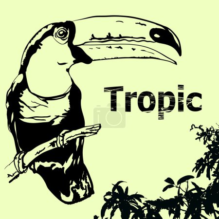 Tropique-2 