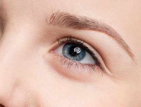 Pinceau cosmétique portrait rapproché de la zone des ombres à paupières 
