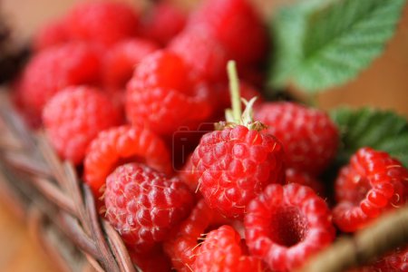 Framboises dans un panier en osier 