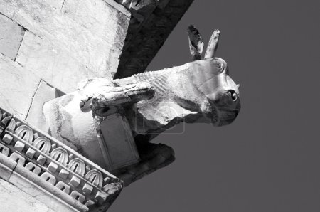 Pise-tour-place publique des miracles 