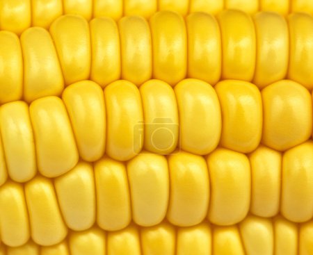 Texture du maïs 