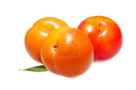 Groupe de prunes avec feuille isolée sur fond blanc 