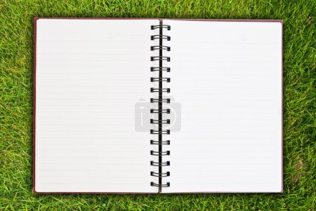 Cahier blanc sur la texture des champs d'herbe .