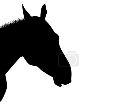 Une silhouette de tête de cheval 