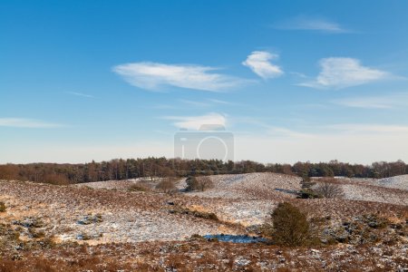 Collines néerlandaises et ciel bleu 